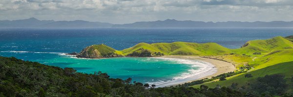 PA04 - The bay of sun - Port Jackson, Waikato.jpg